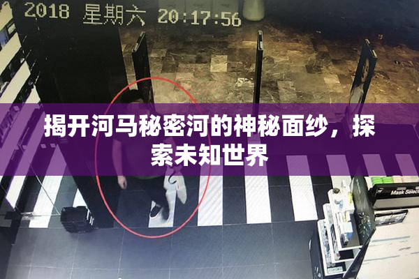 揭开河马秘密河的神秘面纱，探索未知世界