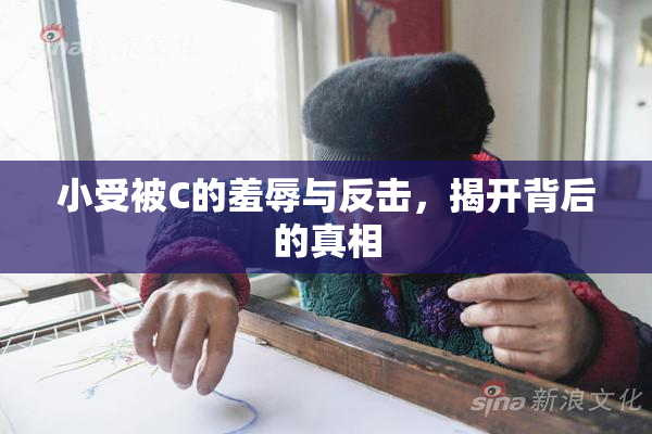 小受被C的羞辱与反击，揭开背后的真相
