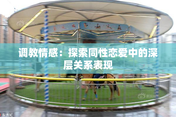 调教情感：探索同性恋爱中的深层关系表现