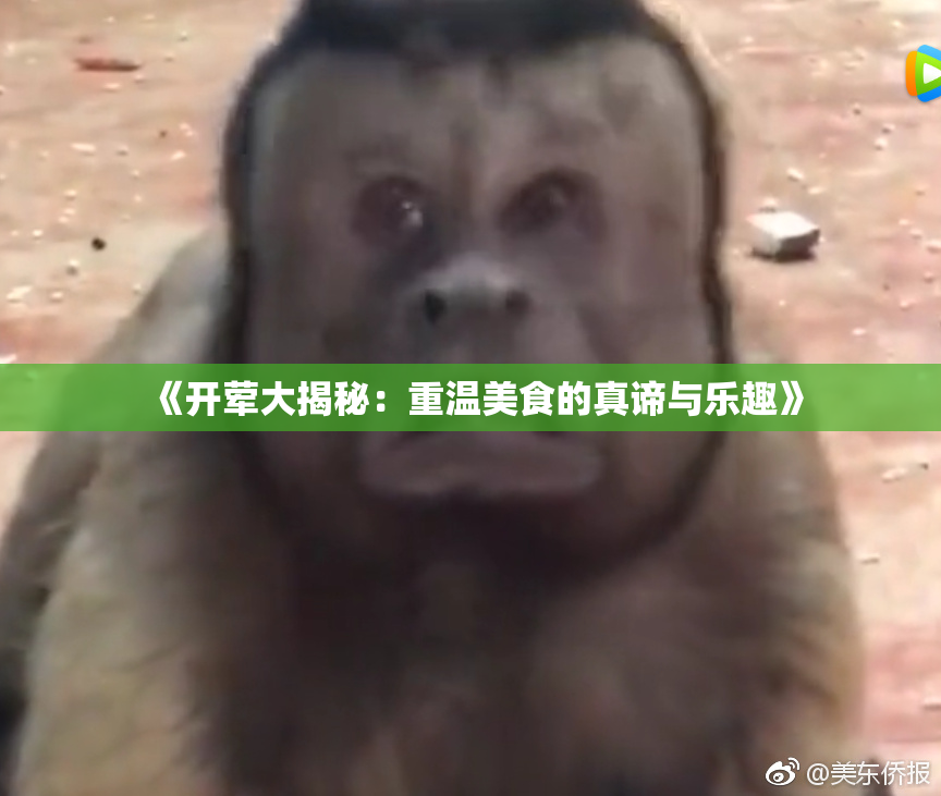 《开荤大揭秘：重温美食的真谛与乐趣》