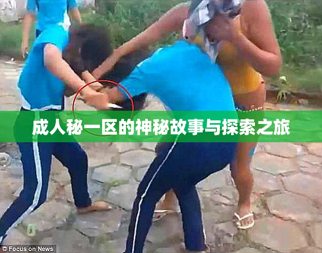 成人秘一区的神秘故事与探索之旅