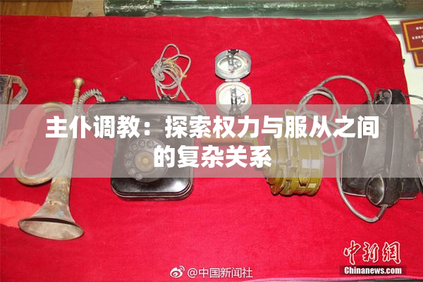主仆调教：探索权力与服从之间的复杂关系