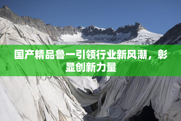 国产精品鲁一引领行业新风潮，彰显创新力量