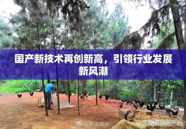 国产新技术再创新高，引领行业发展新风潮