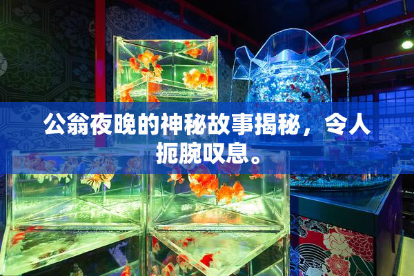 公翁夜晚的神秘故事揭秘，令人扼腕叹息。