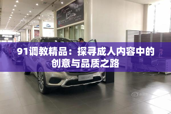 91调教精品：探寻成人内容中的创意与品质之路