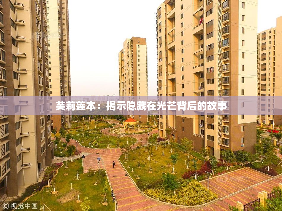 芙莉莲本：揭示隐藏在光芒背后的故事