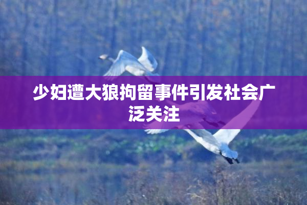 少妇遭大狼拘留事件引发社会广泛关注