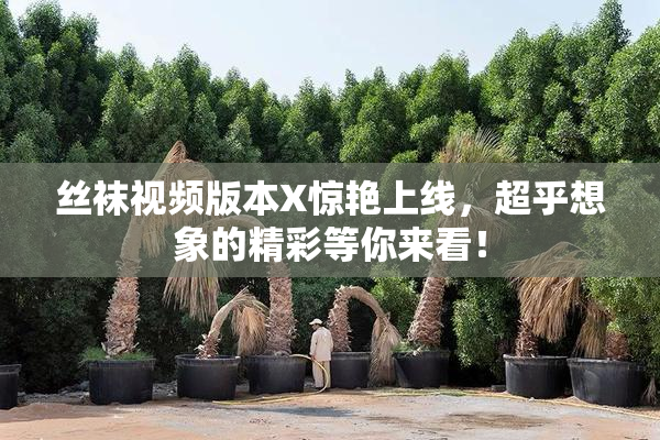 丝袜视频版本X惊艳上线，超乎想象的精彩等你来看！