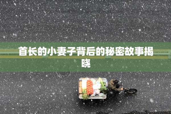 首长的小妻子背后的秘密故事揭晓