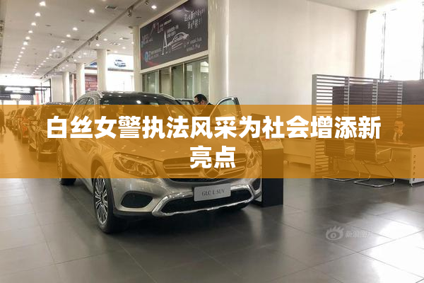 白丝女警执法风采为社会增添新亮点