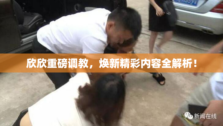 欣欣重磅调教，焕新精彩内容全解析！