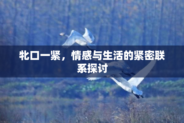 牝口一紧，情感与生活的紧密联系探讨