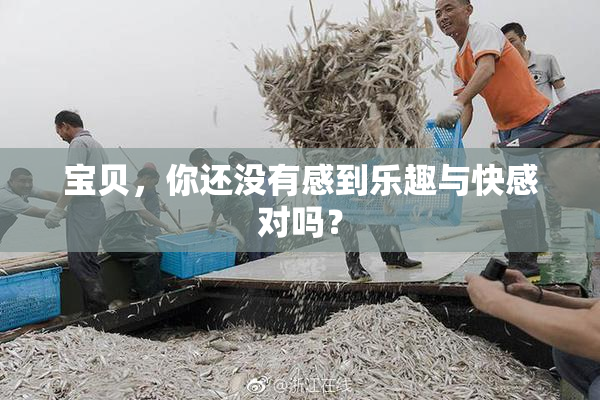 宝贝，你还没有感到乐趣与快感对吗？