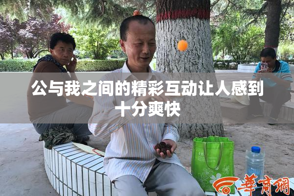 公与我之间的精彩互动让人感到十分爽快