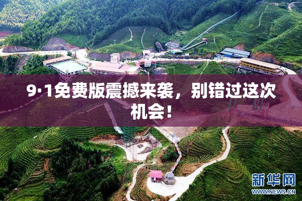 9·1免费版震撼来袭，别错过这次机会！