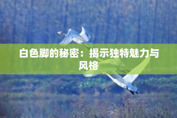 白色脚的秘密：揭示独特魅力与风格