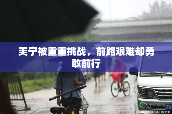芙宁被重重挑战，前路艰难却勇敢前行