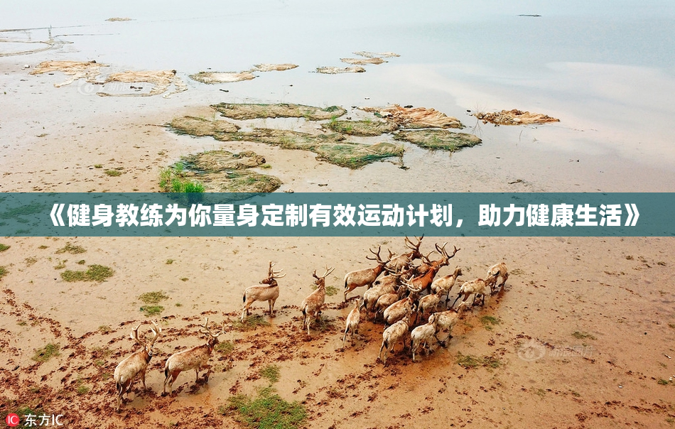 《健身教练为你量身定制有效运动计划，助力健康生活》