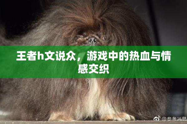 王者h文说众，游戏中的热血与情感交织