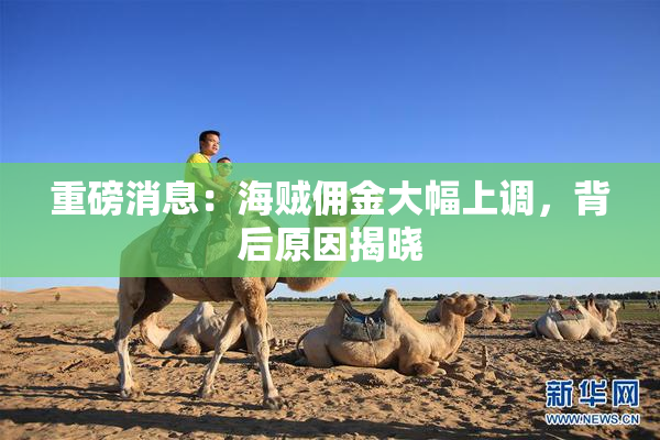 重磅消息：海贼佣金大幅上调，背后原因揭晓