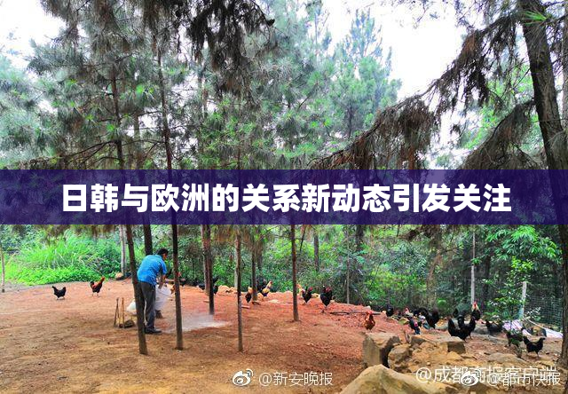 日韩与欧洲的关系新动态引发关注