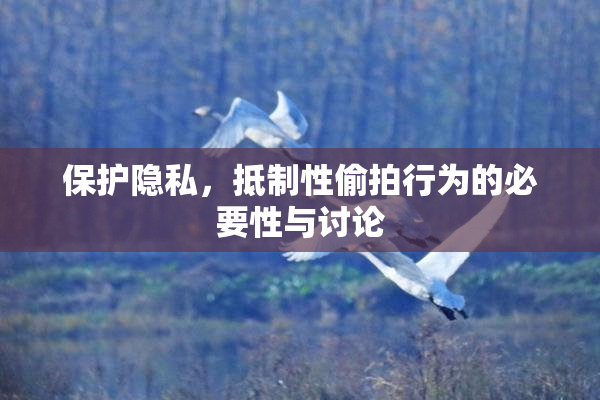 保护隐私，抵制性偷拍行为的必要性与讨论