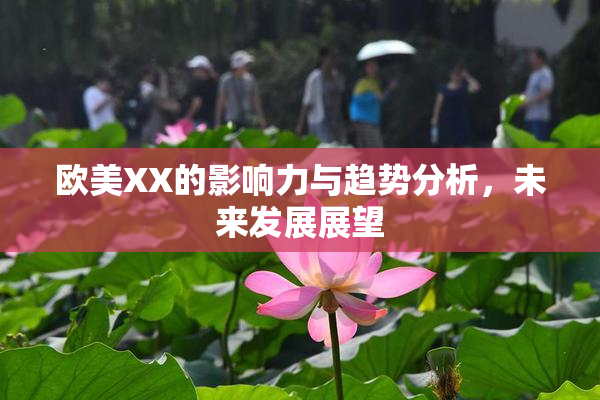 欧美XX的影响力与趋势分析，未来发展展望