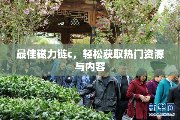 最佳磁力链c，轻松获取热门资源与内容
