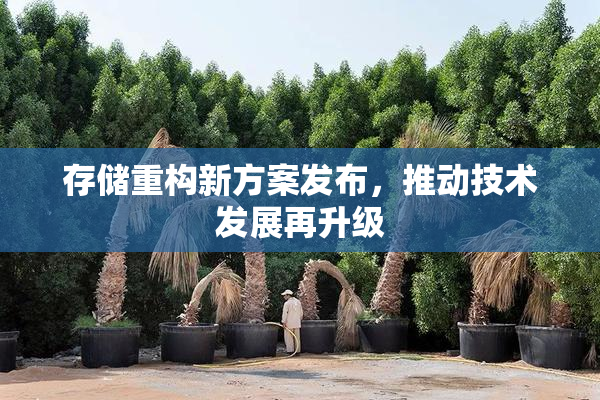 存储重构新方案发布，推动技术发展再升级