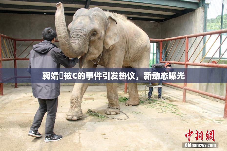 鞠婧祎被C的事件引发热议，新动态曝光