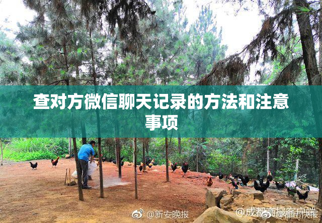 查对方微信聊天记录的方法和注意事项