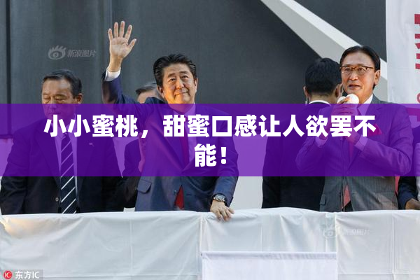 小小蜜桃，甜蜜口感让人欲罢不能！