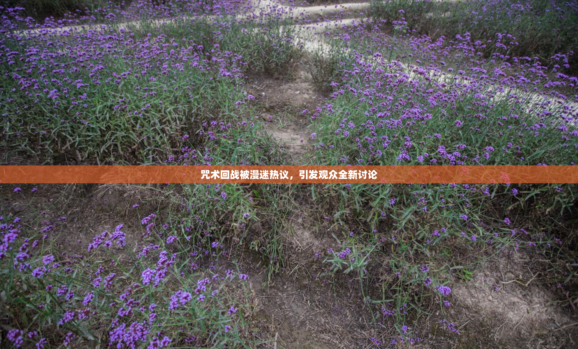 咒术回战被漫迷热议，引发观众全新讨论