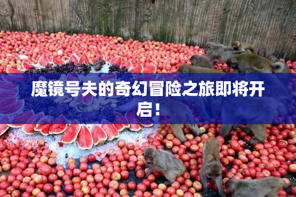 魔镜号夫的奇幻冒险之旅即将开启！