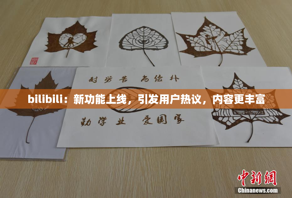 bilibili：新功能上线，引发用户热议，内容更丰富