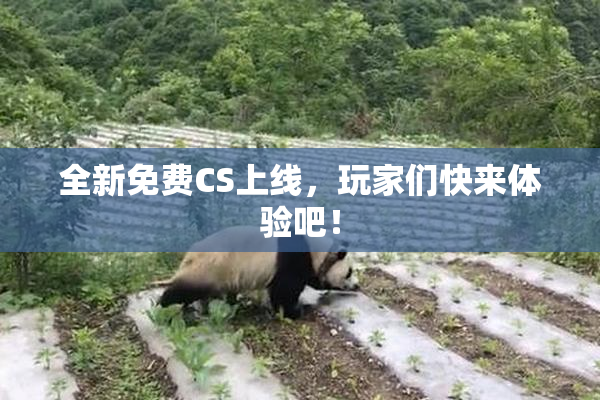 全新免费CS上线，玩家们快来体验吧！