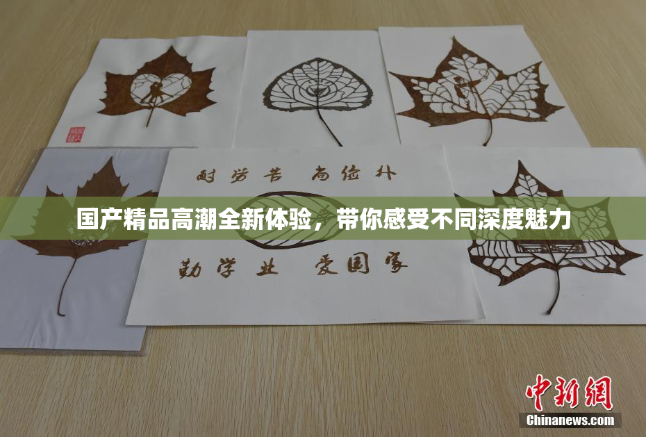 国产精品高潮全新体验，带你感受不同深度魅力