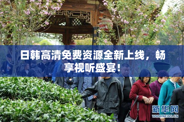 日韩高清免费资源全新上线，畅享视听盛宴！
