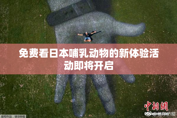免费看日本哺乳动物的新体验活动即将开启