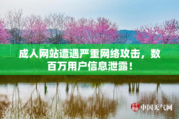 成人网站遭遇严重网络攻击，数百万用户信息泄露！