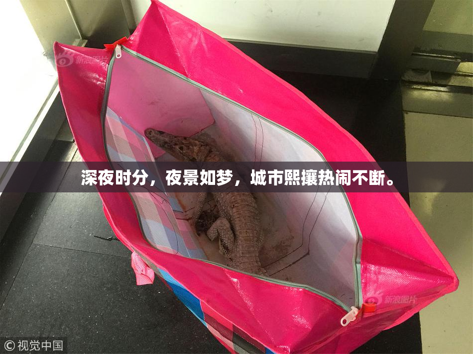 深夜时分，夜景如梦，城市熙攘热闹不断。