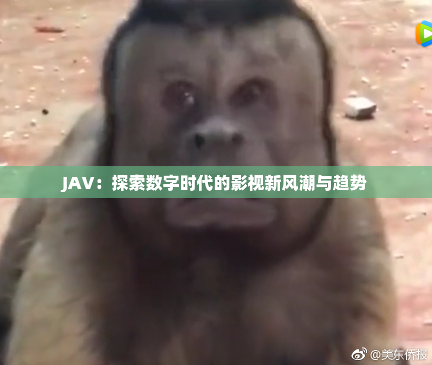 JAV：探索数字时代的影视新风潮与趋势