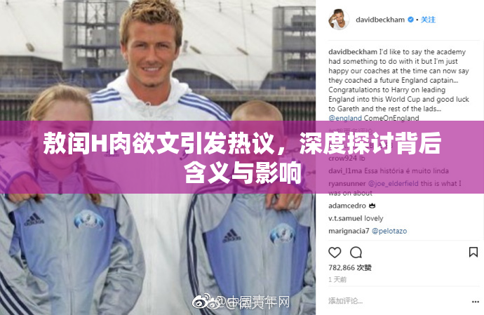 敖闰H肉欲文引发热议，深度探讨背后含义与影响
