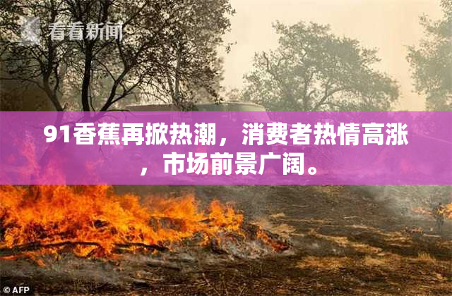 91香蕉再掀热潮，消费者热情高涨，市场前景广阔。