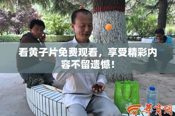 看黄子片免费观看，享受精彩内容不留遗憾！