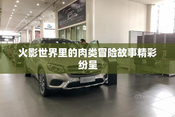 火影世界里的肉类冒险故事精彩纷呈