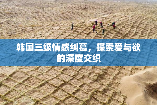 韩国三级情感纠葛，探索爱与欲的深度交织