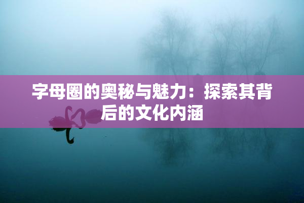 字母圈的奥秘与魅力：探索其背后的文化内涵