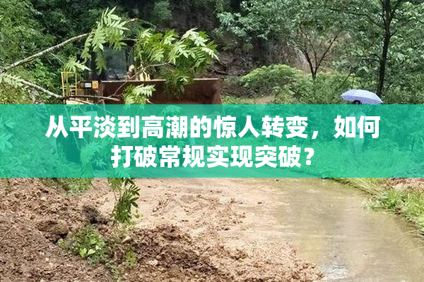 从平淡到高潮的惊人转变，如何打破常规实现突破？